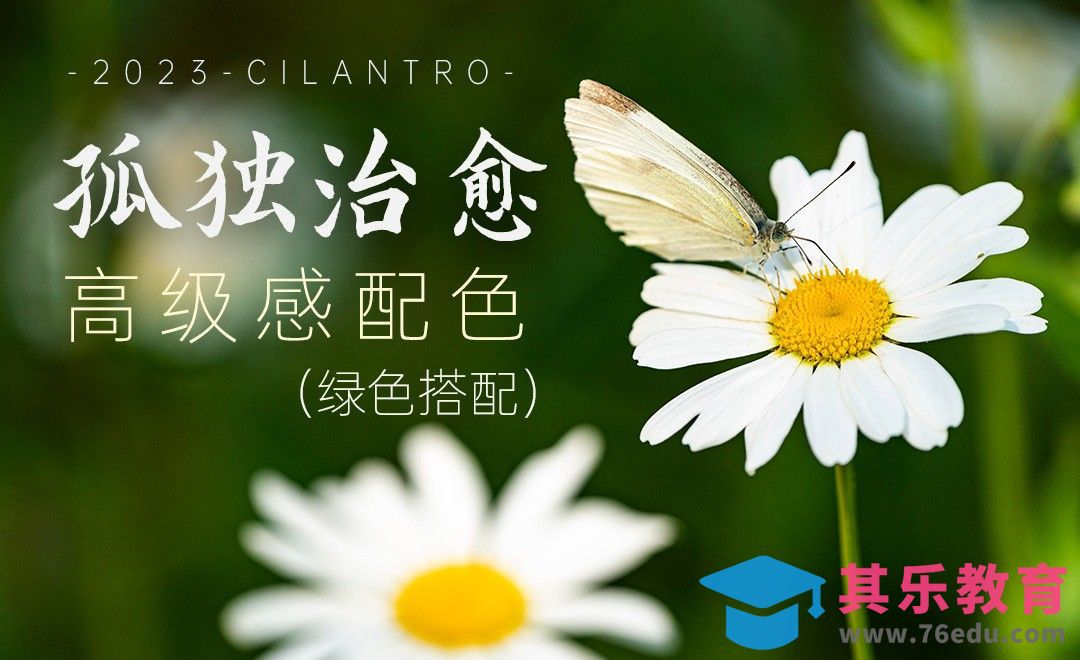 孤独治愈绿色系搭配-审美提升与配色纯享[虎课网平面设计视频教程][图片排版配色MP4高清全集 ]-第1张图片-我要自学网