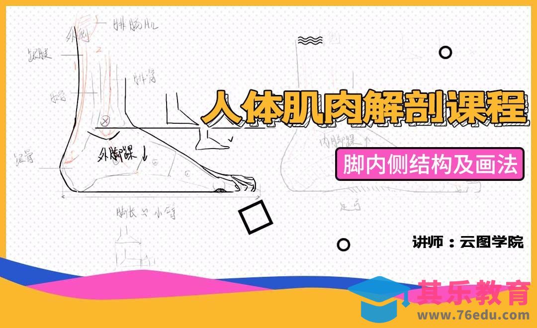 脚内侧结构及画法-人体肌肉解剖课程[虎课网绘画插画视频教程][ipad商业插画MP4教程全集 ]-第1张图片-我要自学网