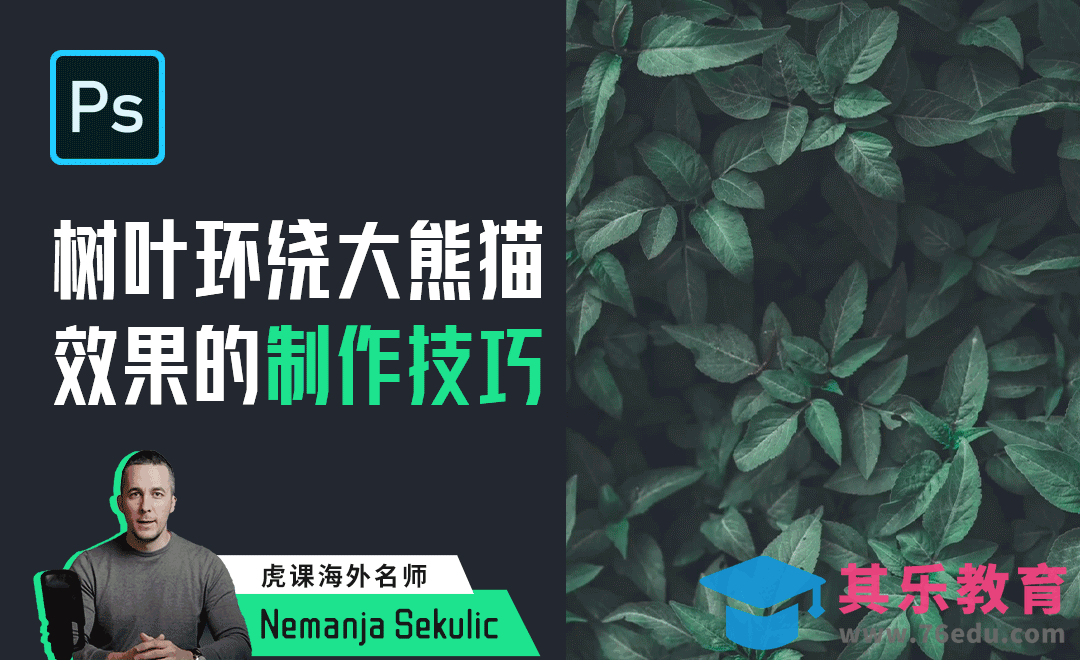 PS-制作树叶环绕大熊猫的效果[虎课网最新视频教程][免费高清MP4教程全集 ]-第1张图片-我要自学网