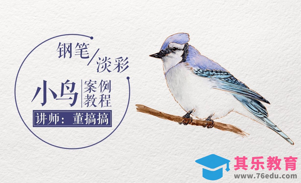 钢笔淡彩-手绘小鸟教程视频[虎课网绘画插画视频教程][ipad商业插画MP4教程全集 ]-第1张图片-我要自学网