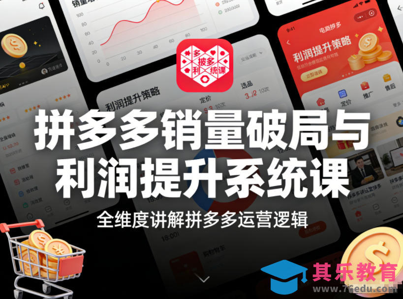 拼多多销量破局与利润提升系统课，全维度讲解拼多多运营逻辑-第1张图片-我要自学网