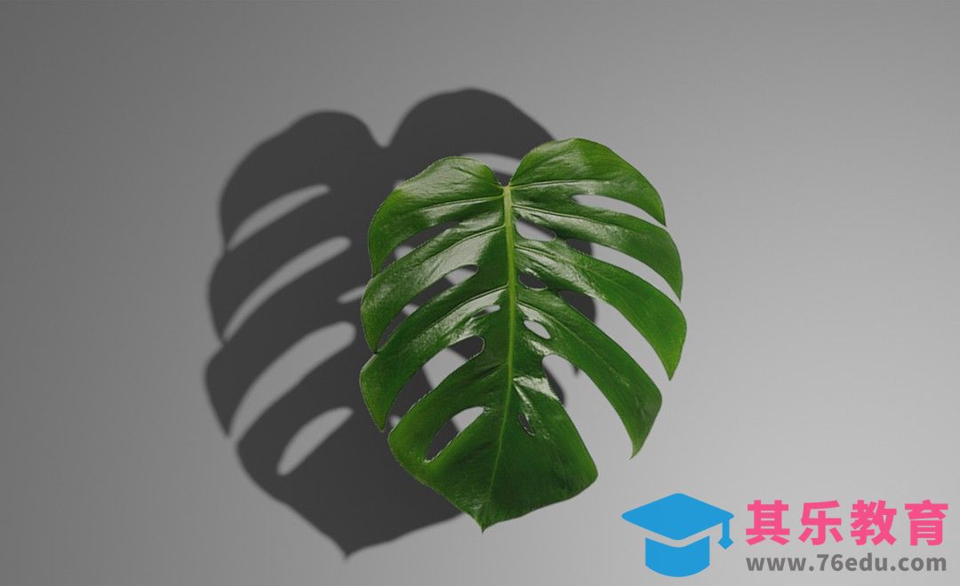 Blender-叶子制作[虎课网Blender视频教程][Blender建模教程MP4教程全集 ]-第1张图片-我要自学网