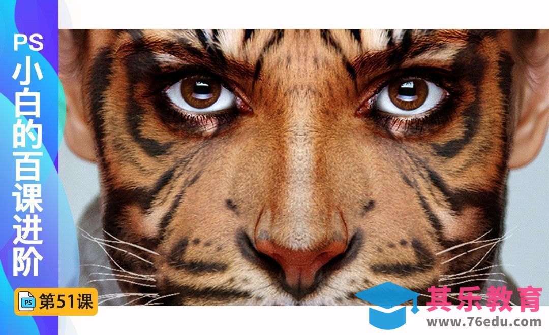 百课进阶51-动物人脸创意合成[虎课网最新视频教程][免费高清MP4教程全集 ]-第1张图片-我要自学网