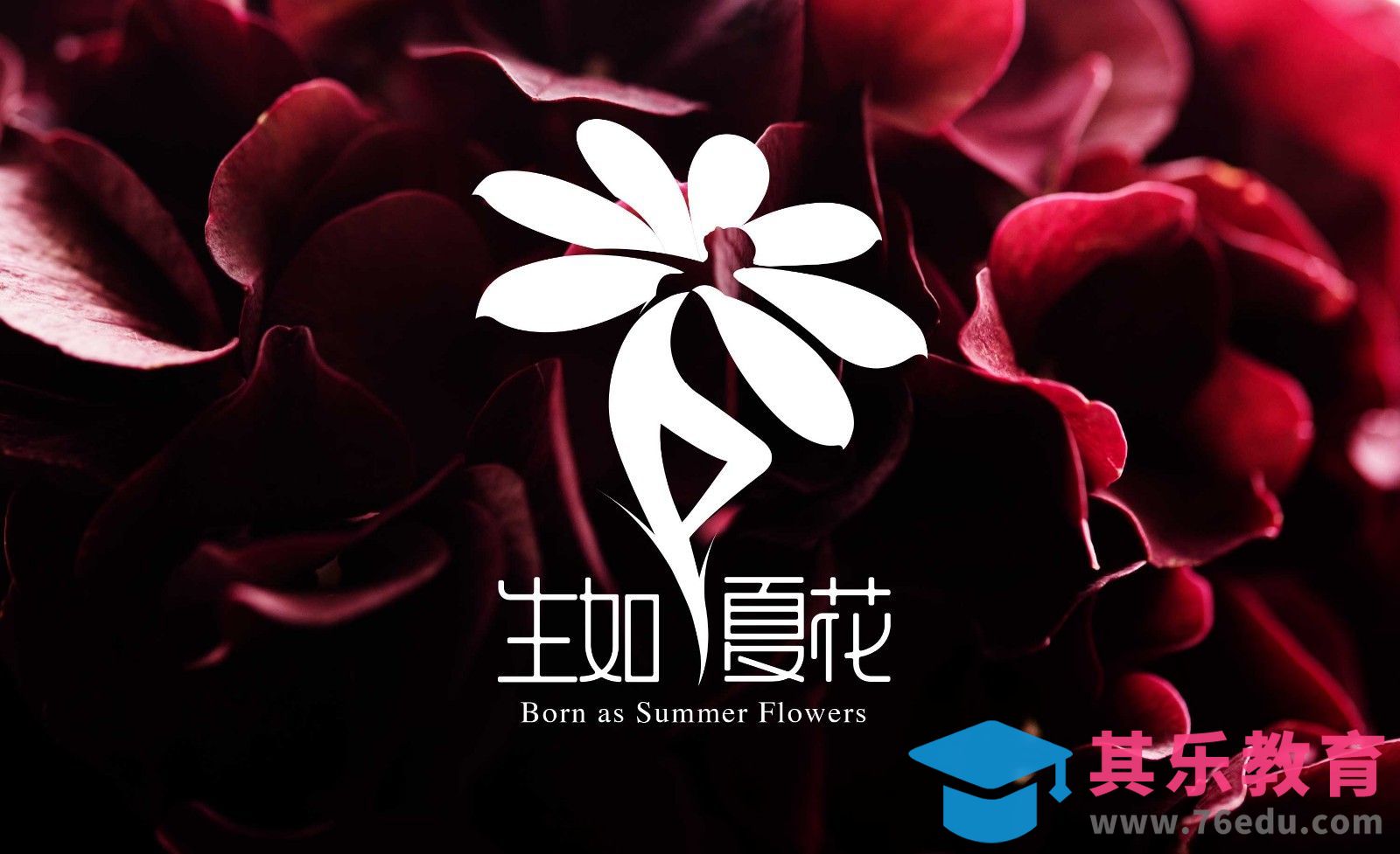 AI-创意图形logo设计-生如夏花[虎课网品牌设计视频教程][logo包装设计教程全集MP4 ]-第1张图片-我要自学网