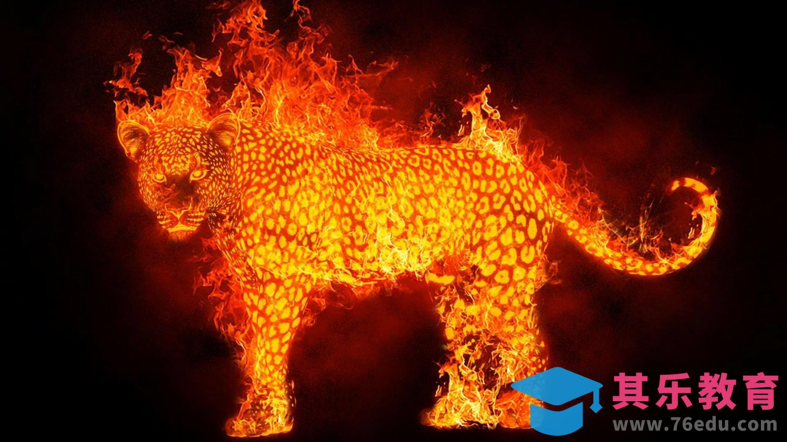 PS-制作燃烧的豹子特效[虎课网最新视频教程][免费高清MP4教程全集 ]-第1张图片-我要自学网