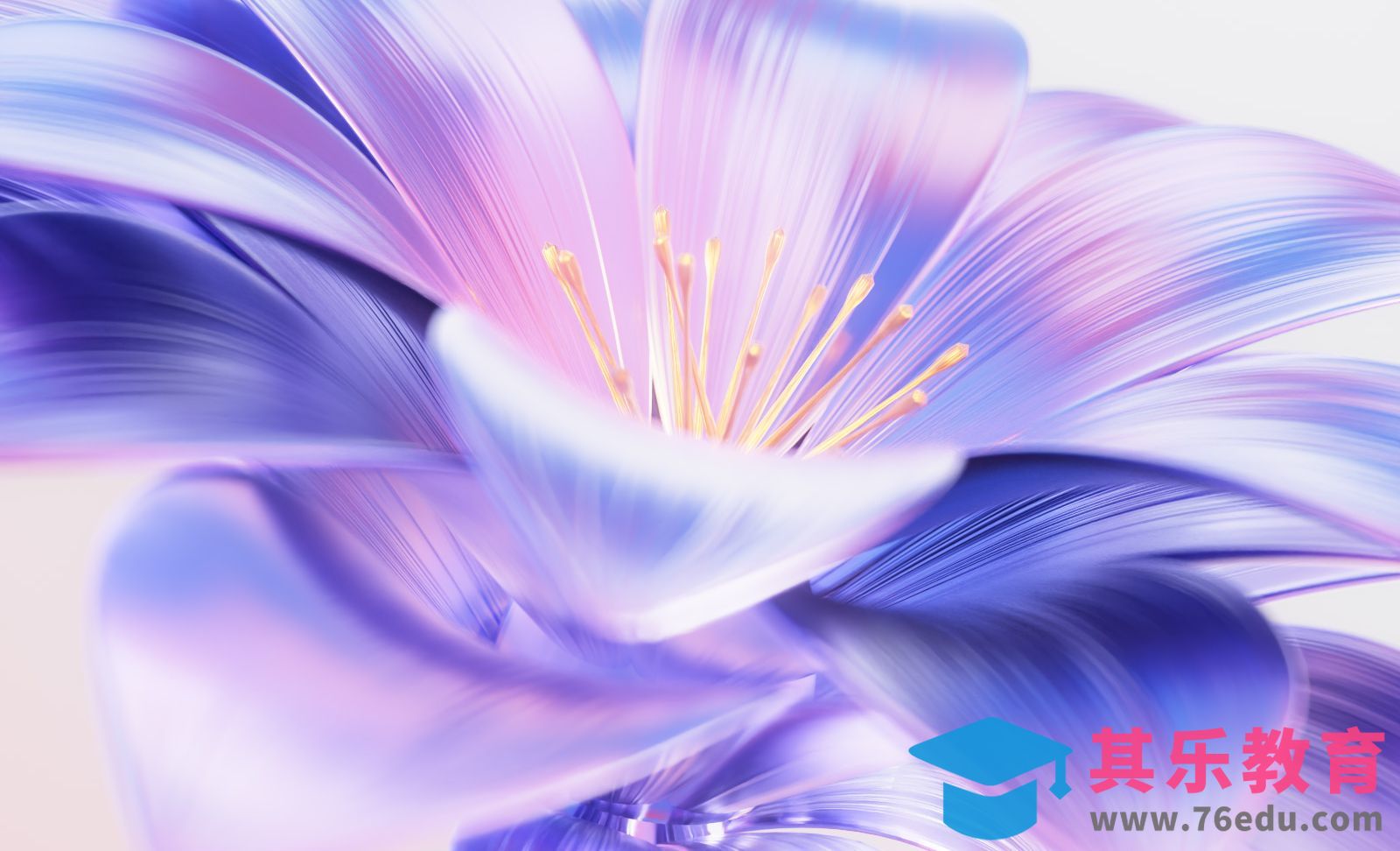 C4D+XP-制作梦幻质感花开[虎课网C4D设计视频教程][产品数码建模MP4教程全集 ]-第1张图片-我要自学网