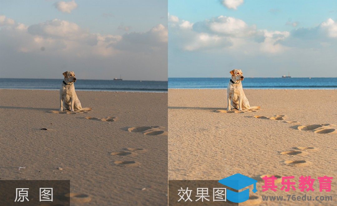 PS-海边萌宠风光片后期教程[虎课网手机摄影入门视频教程][MP4产品摄影教程全集 ]-第1张图片-我要自学网