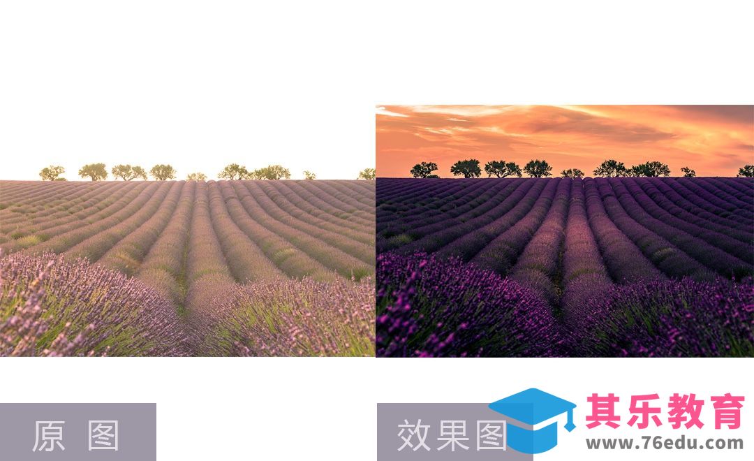 PS+LR-梦幻薰衣草庄园摄影后期提亮和压暗[虎课网手机摄影入门视频教程][MP4产品摄影教程全集 ]-第1张图片-我要自学网