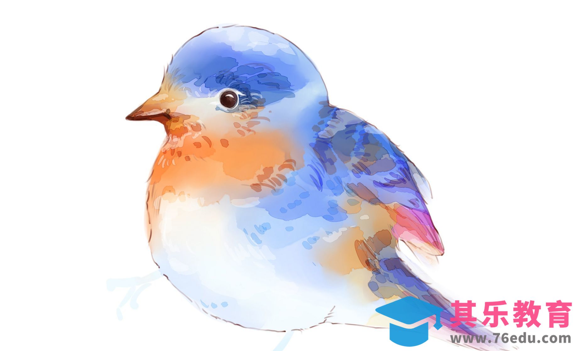 ipad水彩风插画小鸟[虎课网绘画插画视频教程][ipad商业插画MP4教程全集 ]-第1张图片-我要自学网