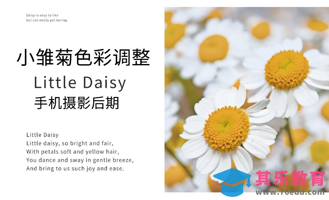 醒图-小雏菊摄影后期调整[虎课网手机摄影入门视频教程][MP4产品摄影教程全集 ]-第1张图片-我要自学网
