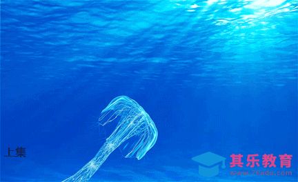 C4D-水母游动动画(上)[虎课网影视动画制作视频教程][MP4影视拍摄教程全集 ]-第1张图片-我要自学网
