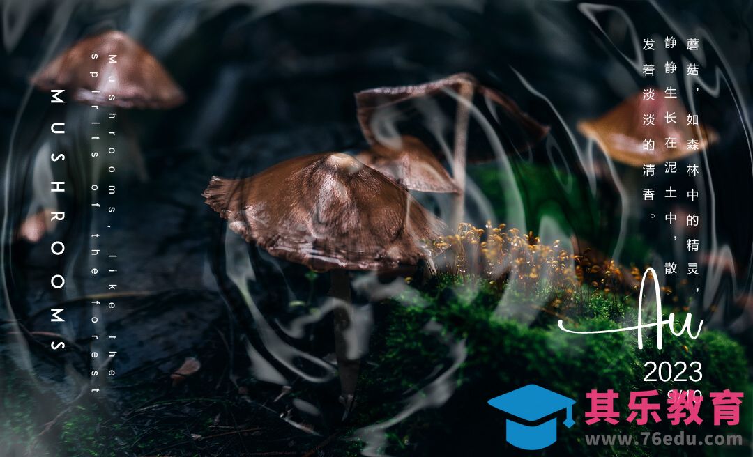 PS-水波创意海报[平面设计视频教程][海报设计MP4高清全集 ]-第1张图片-我要自学网