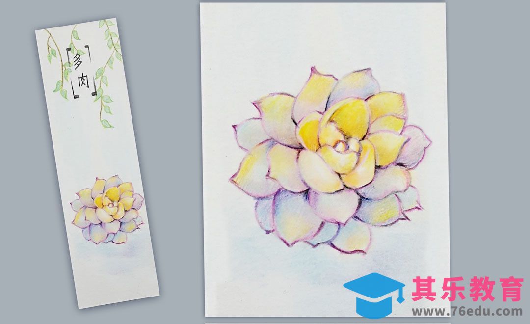 色粉与彩铅-多肉书签1[虎课网绘画插画视频教程][ipad商业插画MP4教程全集 ]-第1张图片-我要自学网