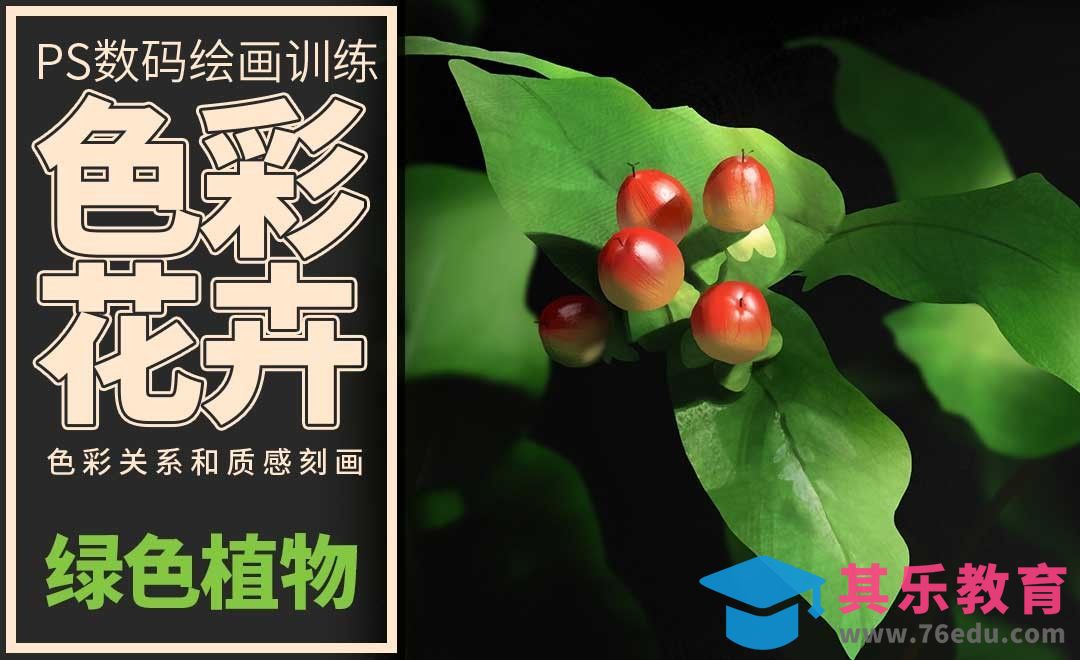 PS-板绘-色彩静物-绿色植物[虎课网绘画插画视频教程][ipad商业插画MP4教程全集 ]-第1张图片-我要自学网