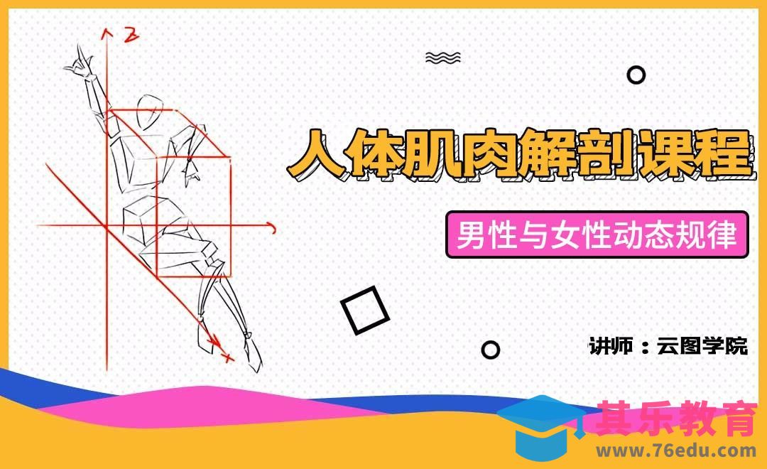 男性与女性动态规律-人体肌肉解剖课程[虎课网绘画插画视频教程][ipad商业插画MP4教程全集 ]-第1张图片-我要自学网