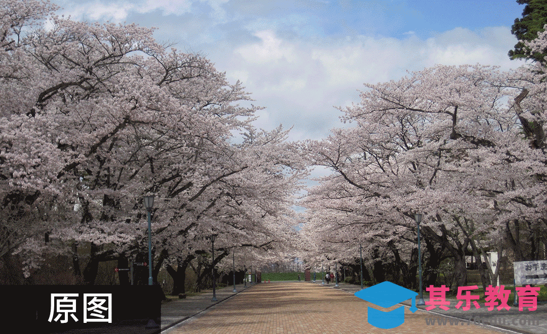 PS-普通街景变身樱花大道后期处理[虎课网手机摄影入门视频教程][MP4产品摄影教程全集 ]-第1张图片-我要自学网