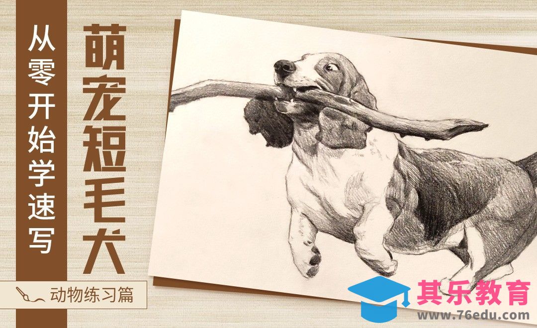 速写-动物短毛犬[虎课网绘画插画视频教程][ipad商业插画MP4教程全集 ]-第1张图片-我要自学网
