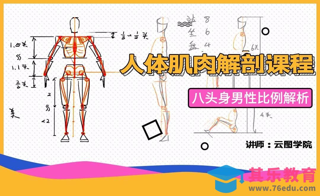 八头身男性比例解析-人体肌肉解剖课程[虎课网绘画插画视频教程][ipad商业插画MP4教程全集 ]-第1张图片-我要自学网