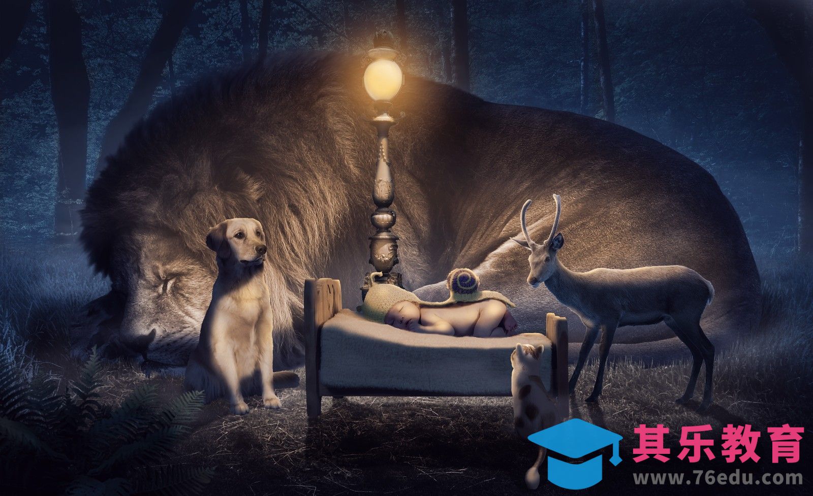 PS-呵护 动物图像合成[平面设计视频教程][海报设计MP4高清全集 ]-第1张图片-我要自学网