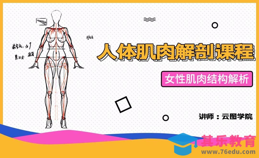 女性肌肉结构解析-人体肌肉解剖课程[虎课网绘画插画视频教程][ipad商业插画MP4教程全集 ]-第1张图片-我要自学网