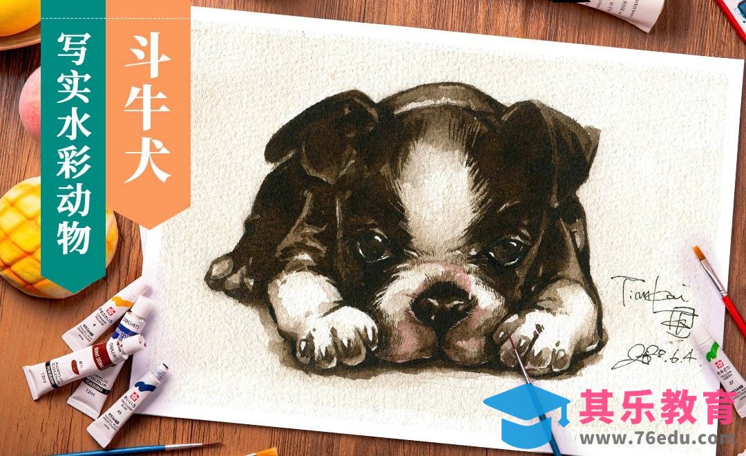 水彩-动物斗牛犬[虎课网绘画插画视频教程][ipad商业插画MP4教程全集 ]-第1张图片-我要自学网
