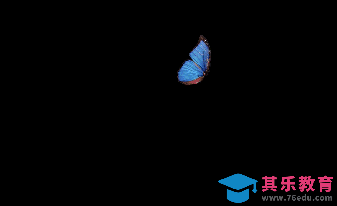 AE-蝴蝶飞舞粒子炫光特效[虎课网影视动画制作视频教程][MP4影视拍摄教程全集 ]-第1张图片-我要自学网