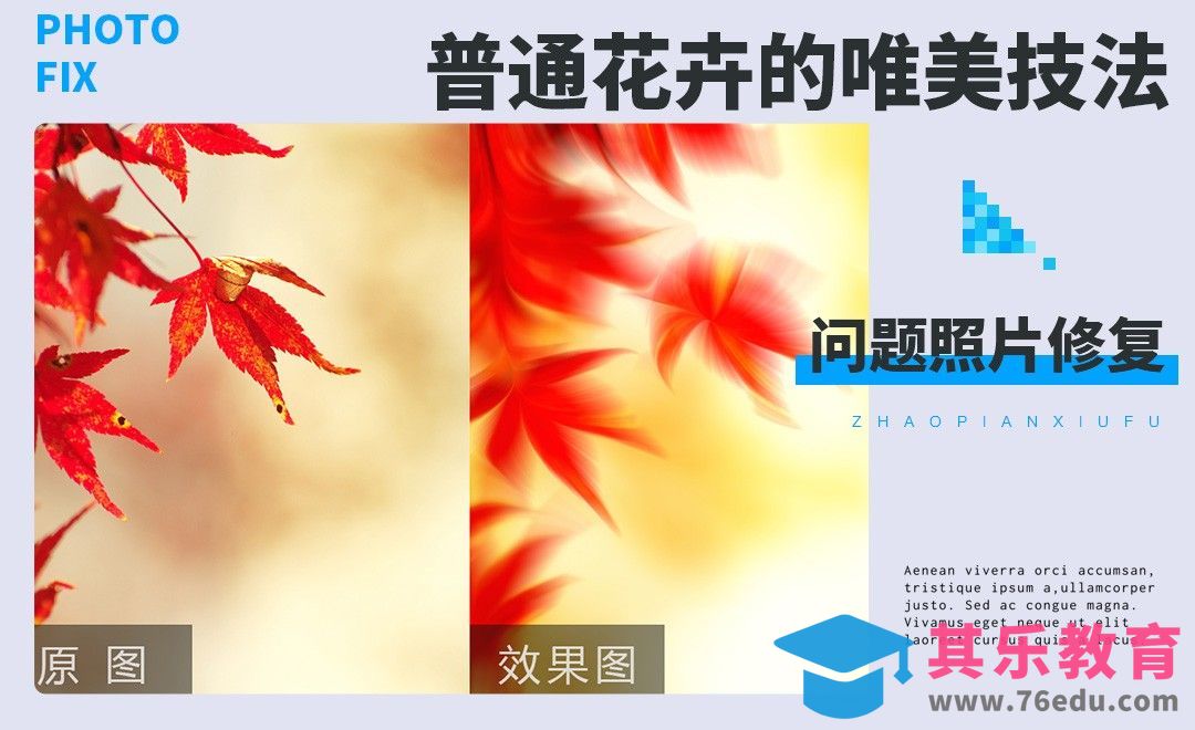 PS-普通花卉的唯美技法[虎课网手机摄影入门视频教程][MP4产品摄影教程全集 ]-第1张图片-我要自学网