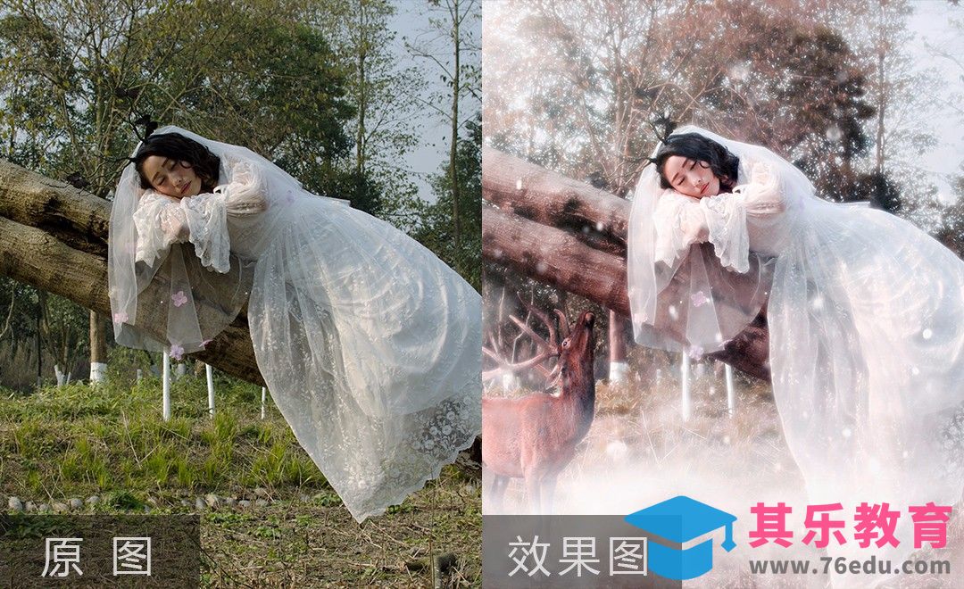 PS-森林梦幻人像后期修片[虎课网手机摄影入门视频教程][MP4产品摄影教程全集 ]-第1张图片-我要自学网