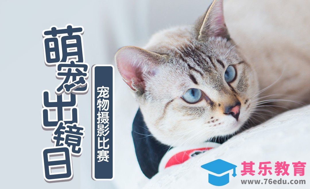 萌宠拍摄技巧-邀请你来晒宠[虎课网手机摄影入门视频教程][MP4产品摄影教程全集 ]-第1张图片-我要自学网