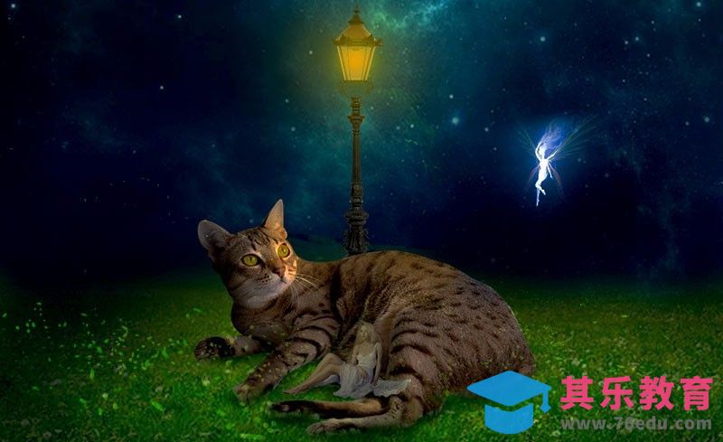 PS-星夜猫咪·童话风[平面设计视频教程][海报设计MP4高清全集 ]-第1张图片-我要自学网