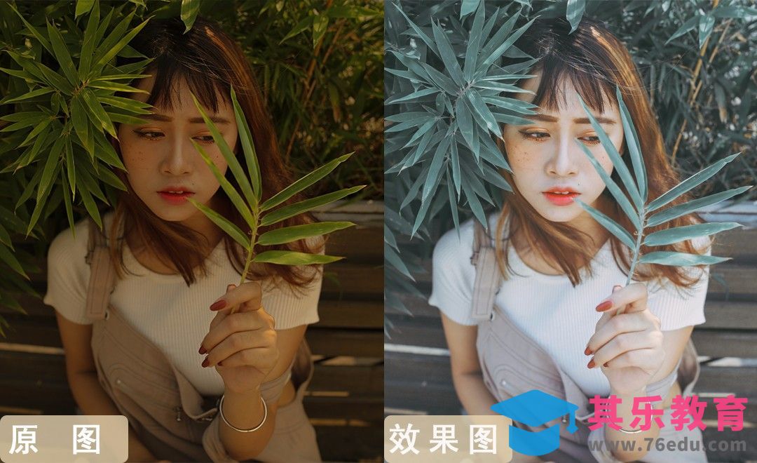 PS-森系冷调小清新[虎课网手机摄影入门视频教程][MP4产品摄影教程全集 ]-第1张图片-我要自学网