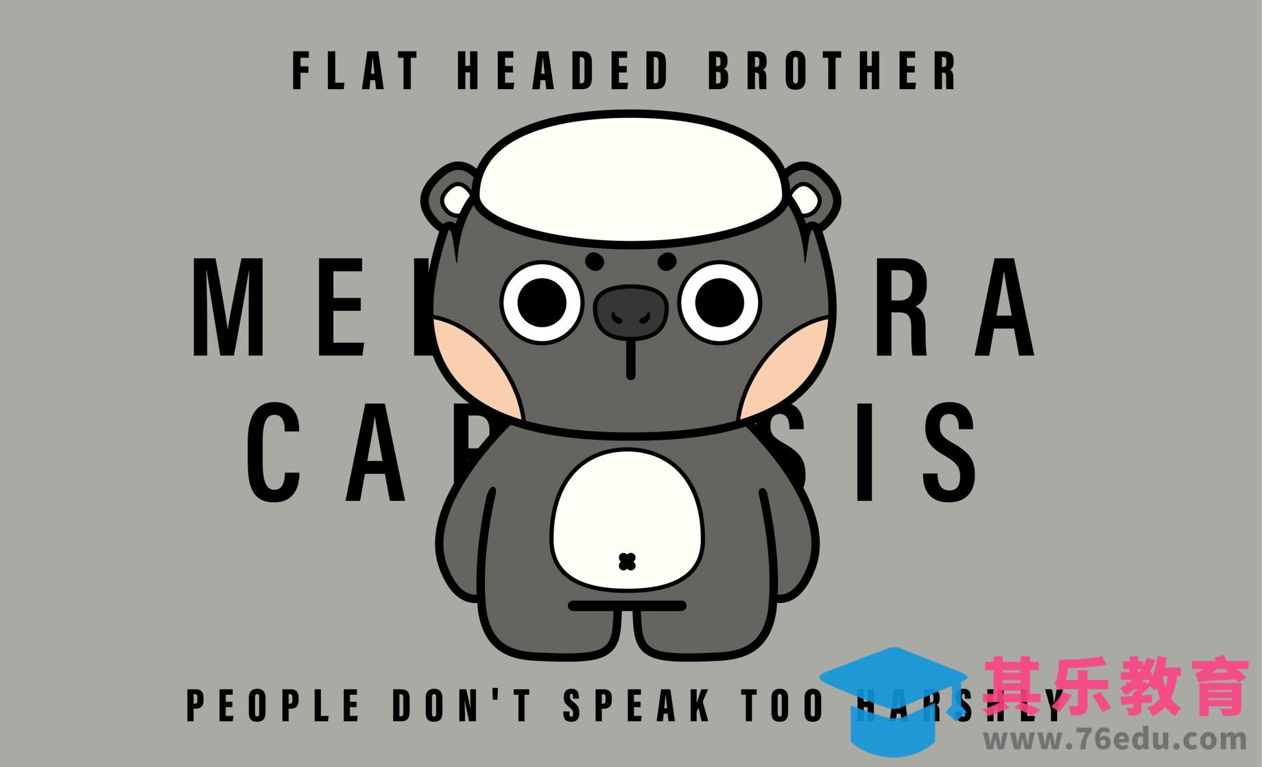 平头哥IP形象绘制[虎课网绘画插画视频教程][ipad商业插画MP4教程全集 ]-第1张图片-我要自学网