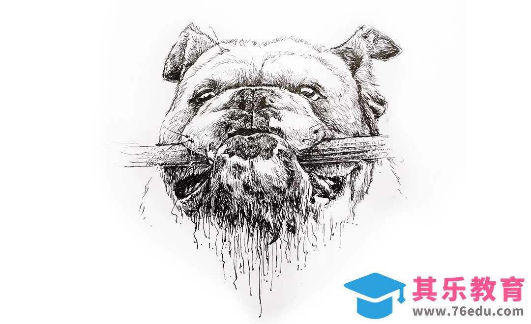 针管笔速写-狗狗篇[虎课网绘画插画视频教程][ipad商业插画MP4教程全集 ]-第1张图片-我要自学网