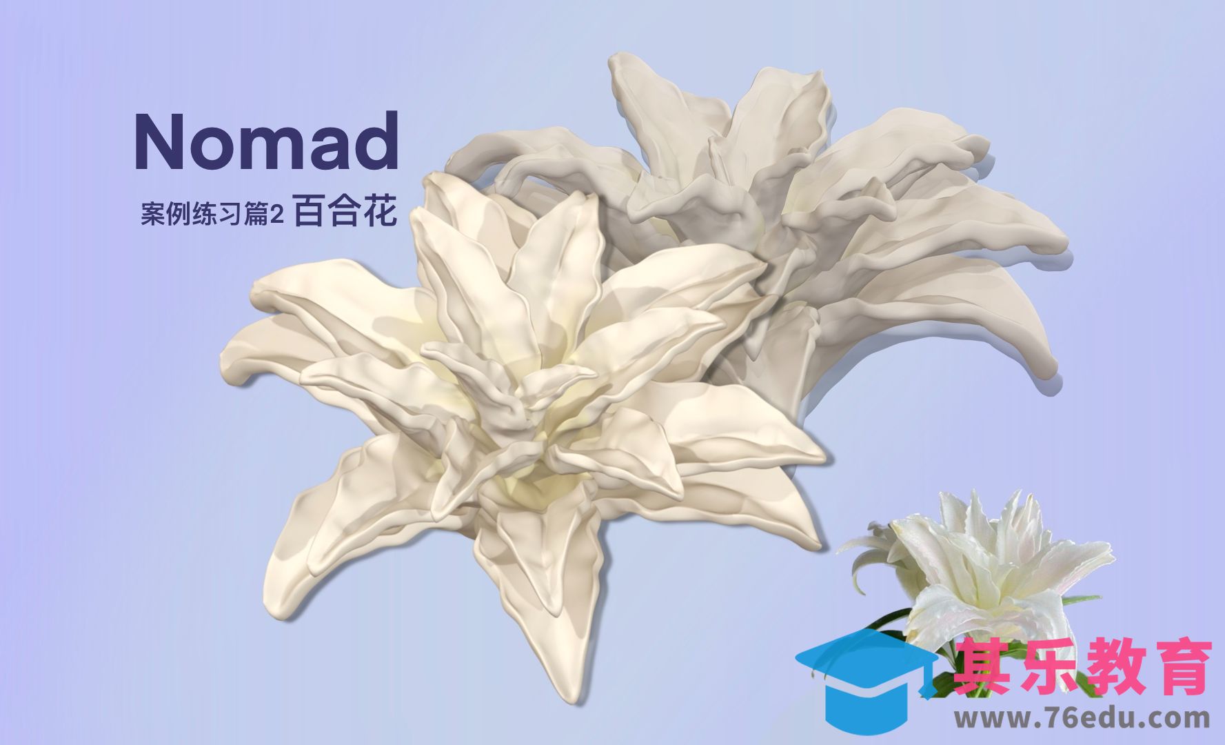 Nomad 百合花教程[虎课网AICG人工智能视频教程][MP4高清全集 ]-第1张图片-我要自学网