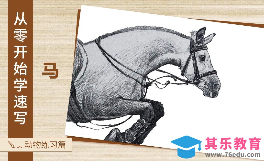 速写-动物马[虎课网绘画插画视频教程][ipad商业插画MP4教程全集 ]-第1张图片-我要自学网
