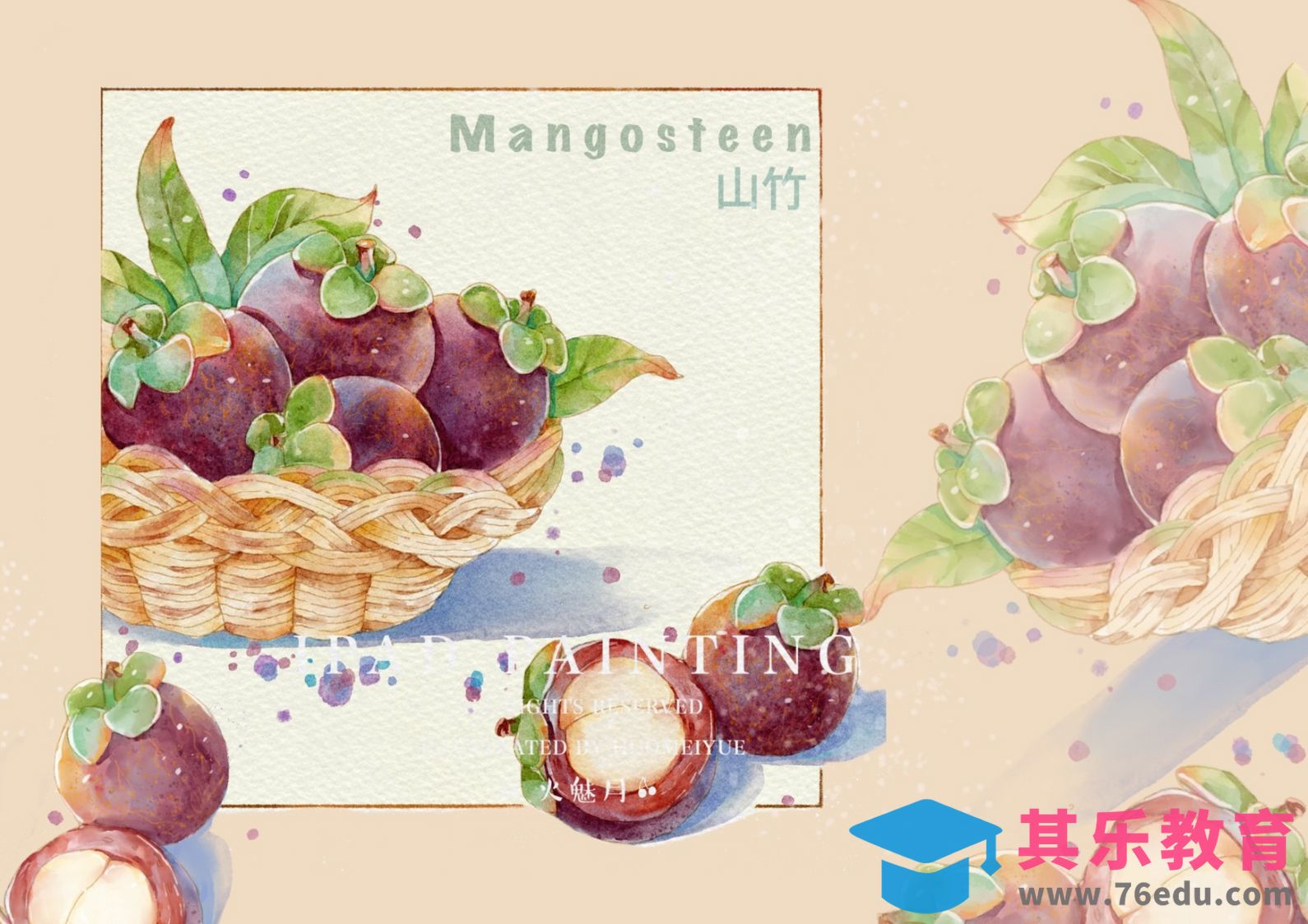 Procreate-iPad绘画水彩风水果-山竹[虎课网绘画插画视频教程][ipad商业插画MP4教程全集 ]-第1张图片-我要自学网