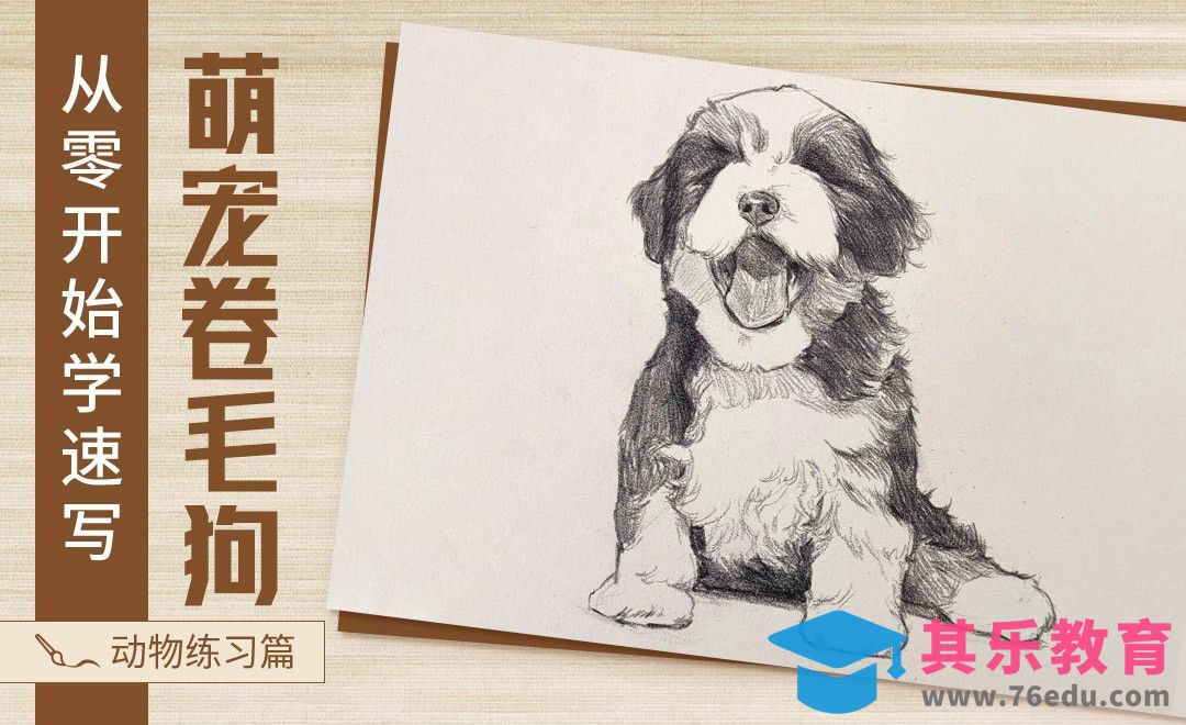 速写-动物萌宠卷毛狗[虎课网绘画插画视频教程][ipad商业插画MP4教程全集 ]-第1张图片-我要自学网