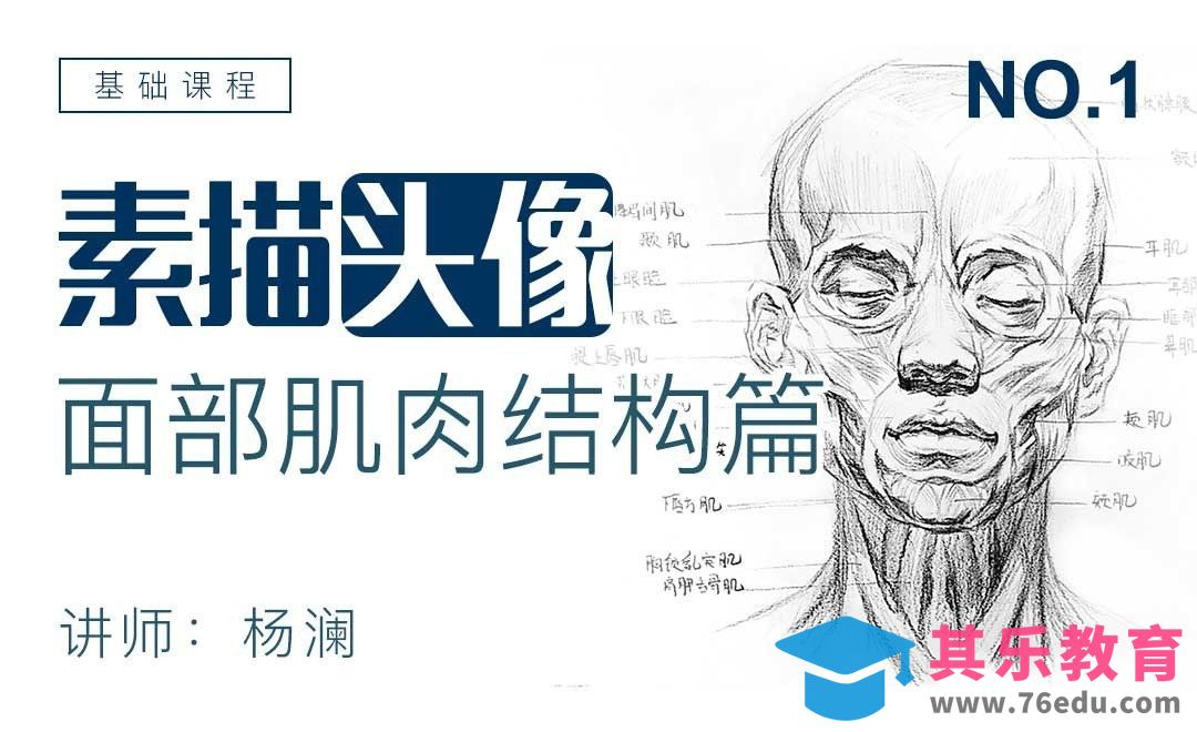 面部肌肉结构篇-素描头像基础课程[虎课网绘画插画视频教程][ipad商业插画MP4教程全集 ]-第1张图片-我要自学网