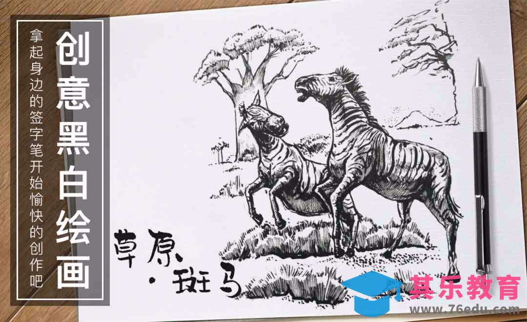 针管笔-手绘插画《草原上的斑马》[虎课网绘画插画视频教程][ipad商业插画MP4教程全集 ]-第1张图片-我要自学网
