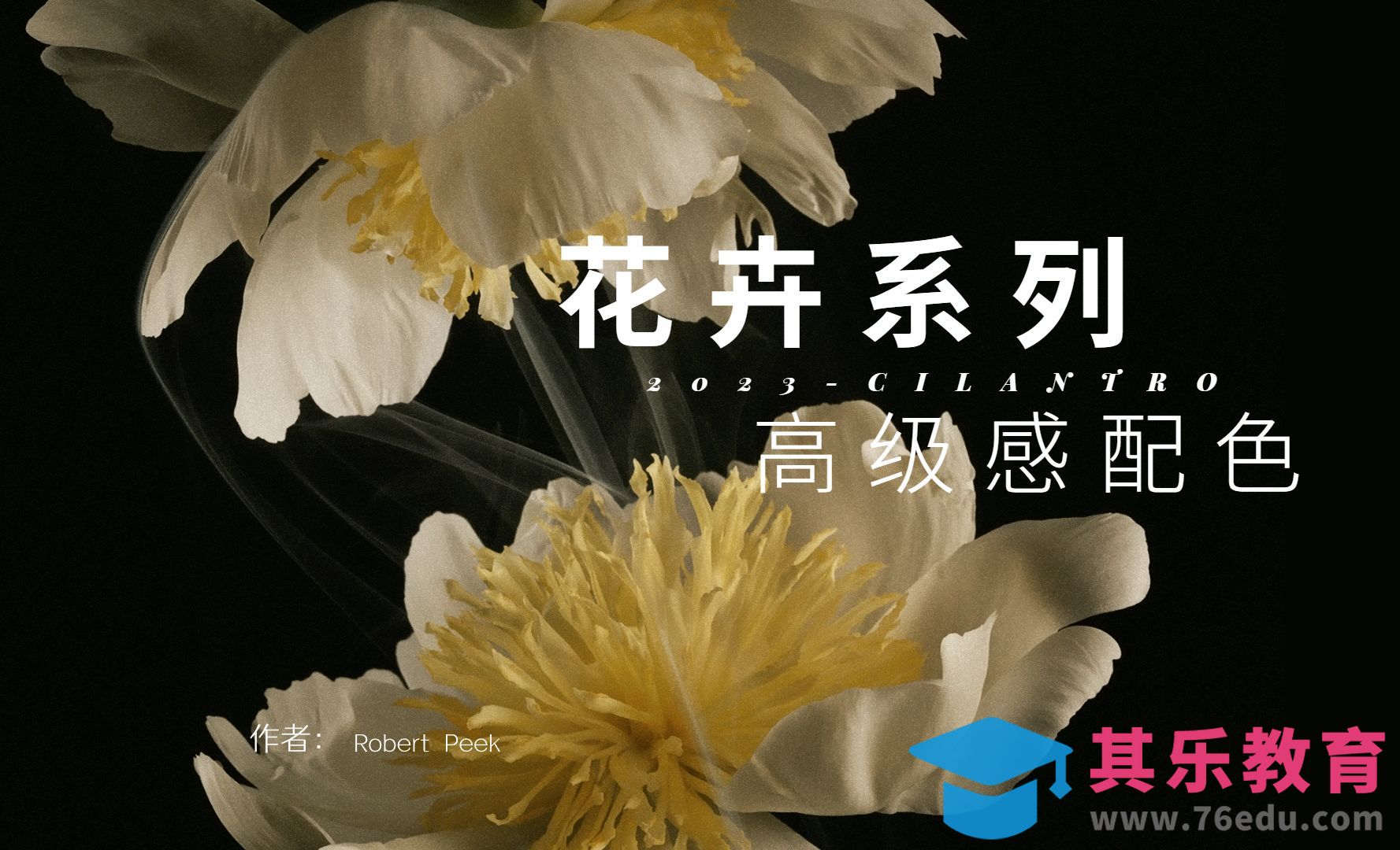 花卉系列高级感配色07-审美提升与配色纯享[虎课网平面设计视频教程][图片排版配色MP4高清全集 ]-第1张图片-我要自学网