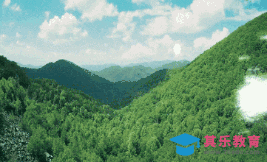 AE-摄像机追踪+粒子合成[虎课网影视动画制作视频教程][MP4影视拍摄教程全集 ]-第1张图片-我要自学网