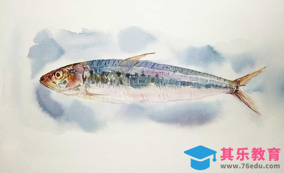 水彩-写实的一条鱼[虎课网绘画插画视频教程][ipad商业插画MP4教程全集 ]-第1张图片-我要自学网