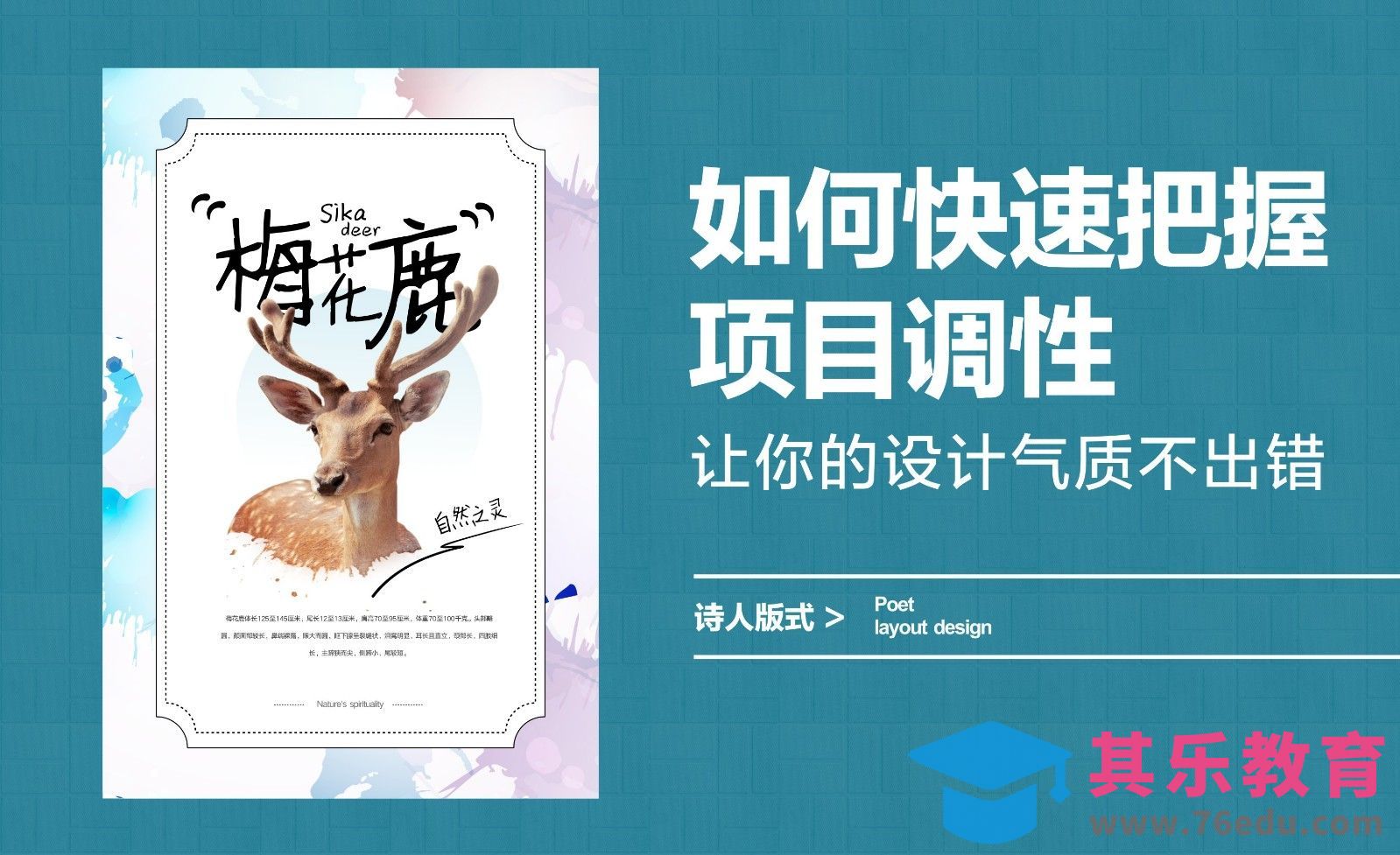 如何快速把握项目调性，让你的设计气质不出错[虎课网平面设计视频教程][图片排版配色MP4高清全集 ]-第1张图片-我要自学网