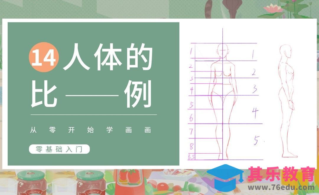 PS-人体基础-人体比例[虎课网绘画插画视频教程][ipad商业插画MP4教程全集 ]-第1张图片-我要自学网