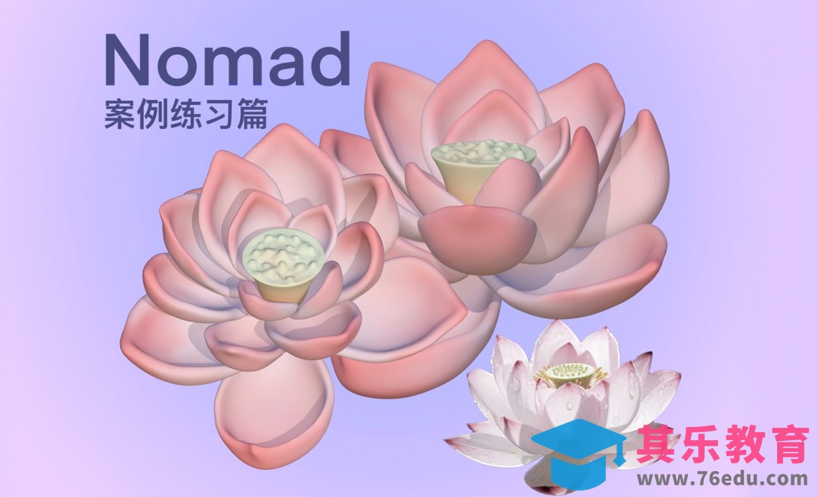 NOMAD | 荷花建模教程[虎课网AICG人工智能视频教程][MP4高清全集 ]-第1张图片-我要自学网