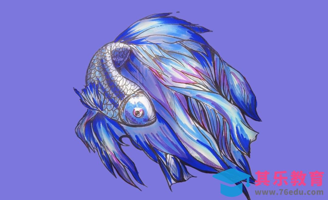 马克笔+针管笔-蓝色金鱼[虎课网绘画插画视频教程][ipad商业插画MP4教程全集 ]-第1张图片-我要自学网