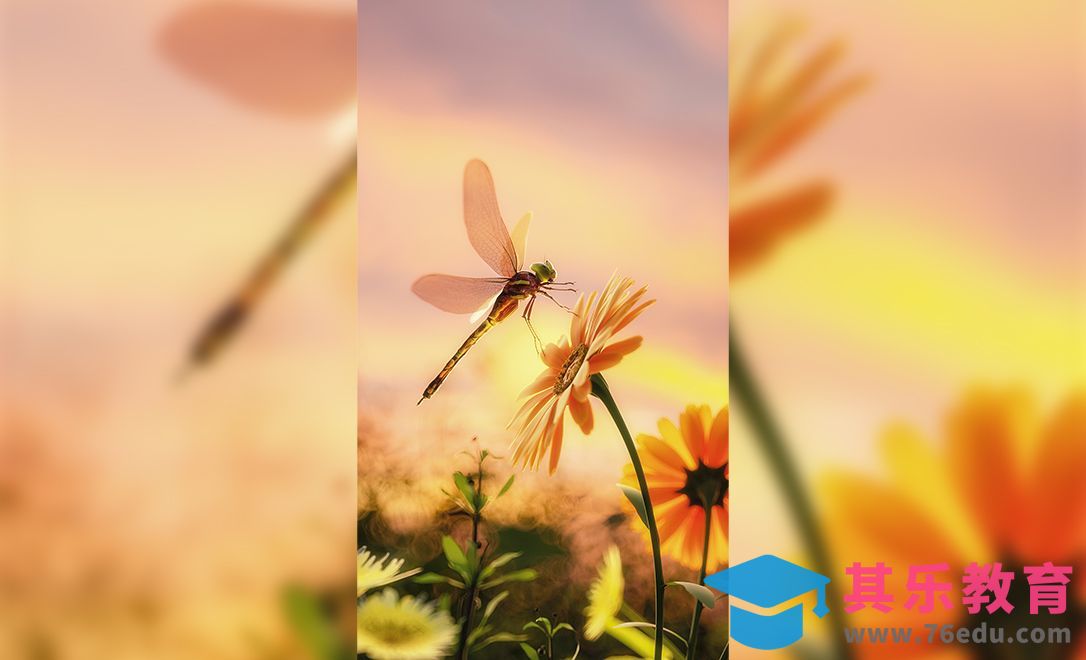 C4D+OC-蜻蜓之夏场景渲染[虎课网C4D设计视频教程][产品数码建模MP4教程全集 ]-第1张图片-我要自学网