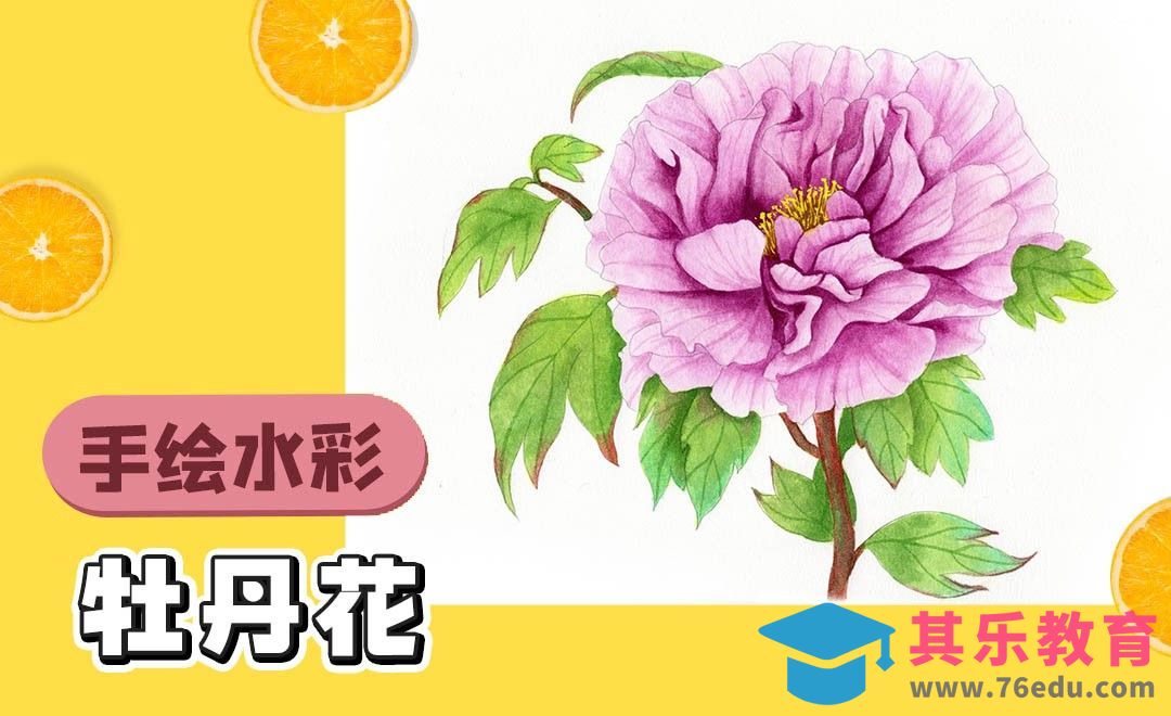 水彩入门-花卉上色-牡丹花[虎课网绘画插画视频教程][ipad商业插画MP4教程全集 ]-第1张图片-我要自学网