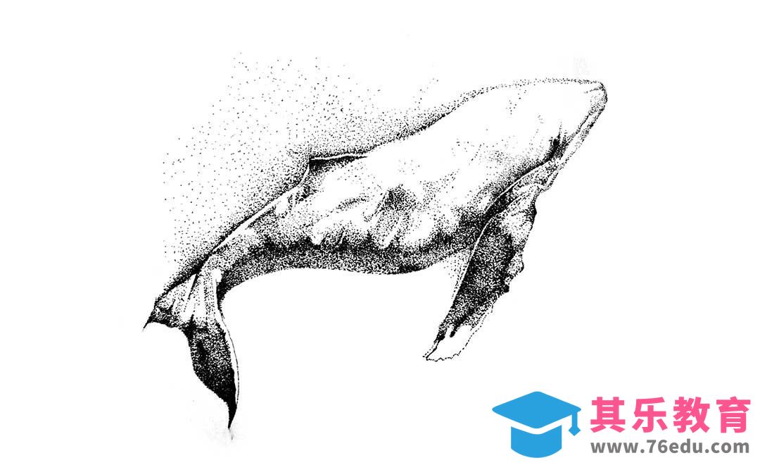 针管笔-蓝鲸-点与造型[虎课网绘画插画视频教程][ipad商业插画MP4教程全集 ]-第1张图片-我要自学网