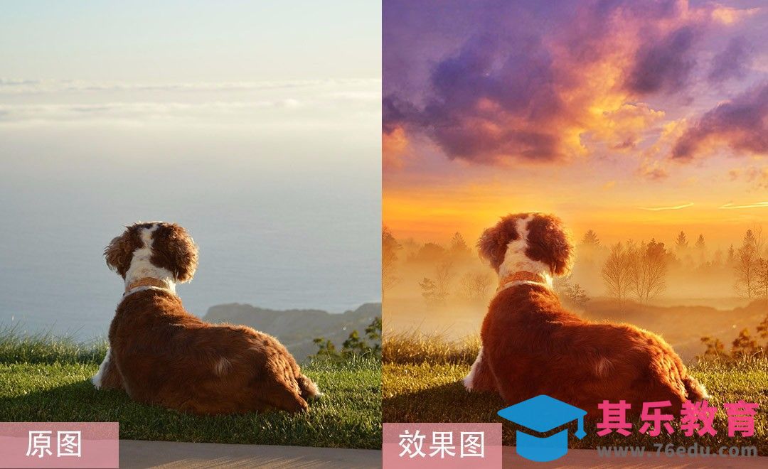 PS-温馨宠物风景后期修片教程[虎课网手机摄影入门视频教程][MP4产品摄影教程全集 ]-第1张图片-我要自学网